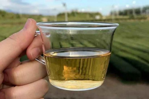 Koliko kofeina nalazi se u zelenom čaju? Je li zeleni čaj koristan?